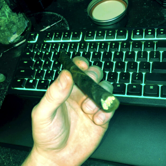 the final product of the acapulco gold Backwood blunt