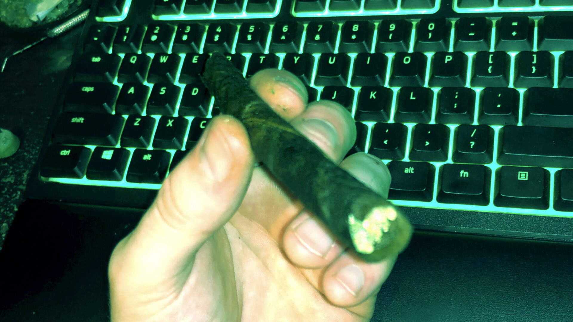 the final product of the acapulco gold backwood blunt